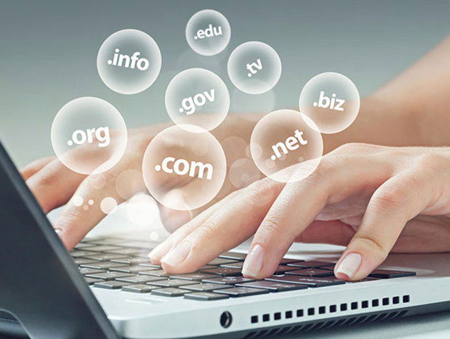 Domain Registration in Delhi